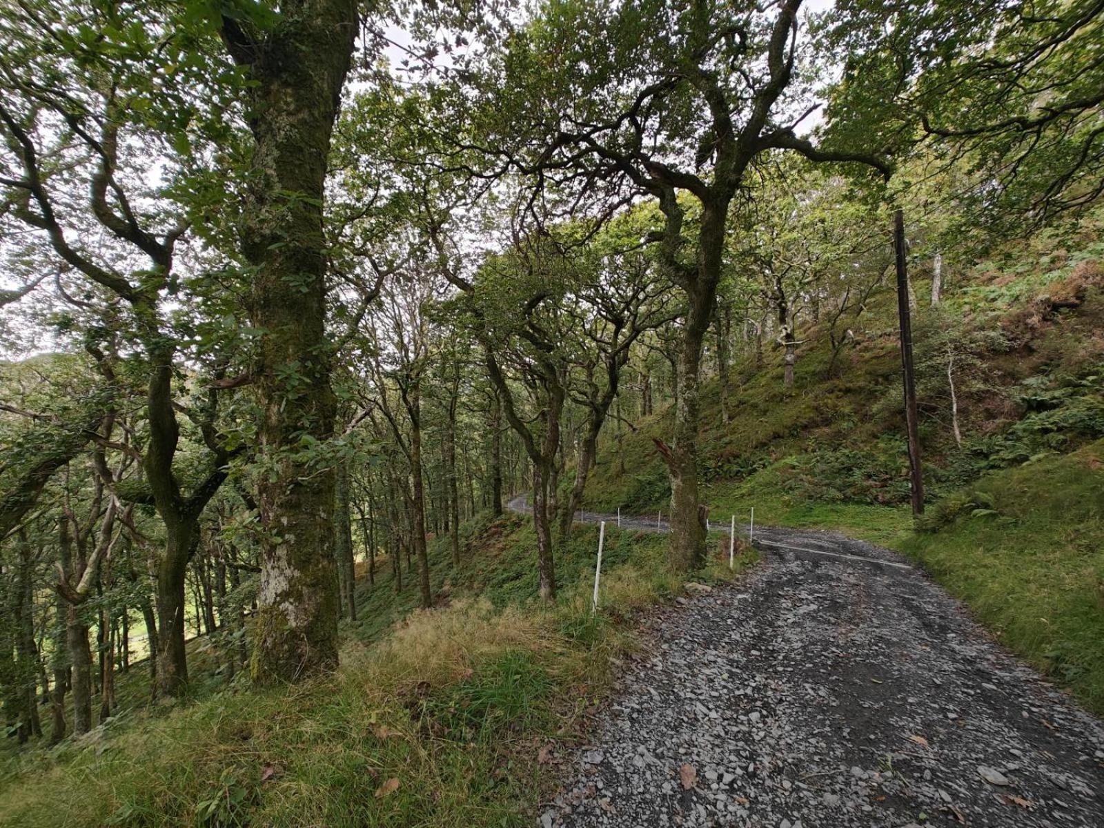Pandy Farmhouse - Panoramic Mountain Views Within Snowdonia'S National Park - 4X4 Recommended Dolgellau Exterior photo